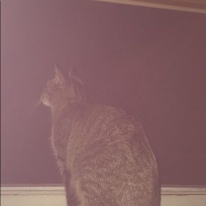 Meet your Posher, Paige